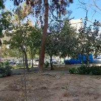 ۱۰۰ متر بر ۵ جنوبی