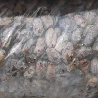 خرماضایعات|عمده‌فروشی|تبریز, |دیوار