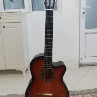 گیتار با کیف خود گیتار