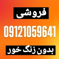 09121059641 کد تهران