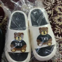 کفش کار ودمپایی