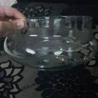 تنگ برای گل|گل و گیاه طبیعی|تهران, قناتکوثر|دیوار