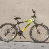 دوچرخه ویوا اصل