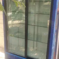 یخچال دودر سالم