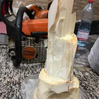 نخل|خدمات باغبانی و درختکاری|جهرم, |دیوار