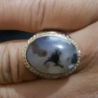 انگشتر شجر|جواهرات|شیراز, نصر|دیوار
