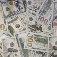 واردات کشنده صادرات کالاخوراک دامی ورفع تعهدارزی