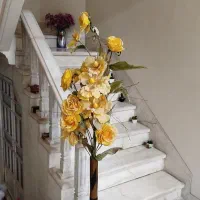 حراج وسایل منزل به علت مهاجرت|فرش|یزد, |دیوار