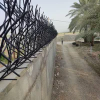 0 حفاظ شاخ گوزنی و بوته ای 0|مصالح و تجهیزات ساختمان|شیراز, شهرک سراج‎|دیوار