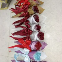 گل جاودان ربانی