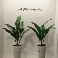 انواع گل کادویی و مصنوعی|گل مصنوعی|خرمدره, |دیوار