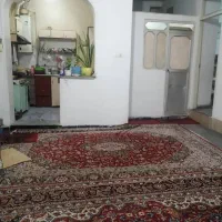 دوتا فرش کارکرده قدیمی|فرش|شیراز, شیخ علی چوپان|دیوار