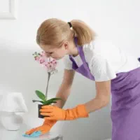 استخدام جهت نظافت منزل