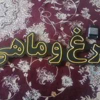 تابلو ال ای دی  مرغ ماهی