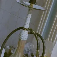 قیلیون عربی نو|کلکسیون و سرگرمی|یاسوج, |دیوار