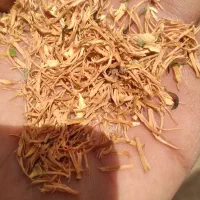 پرچمی بهار مرکبات|خوردنی و آشامیدنی|شیراز, حافظیه|دیوار