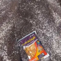 گل نرگس|گل و گیاه طبیعی|آزادشهر, |دیوار