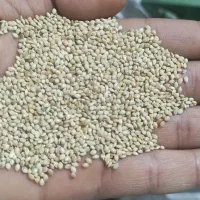 ارزن سورت شده