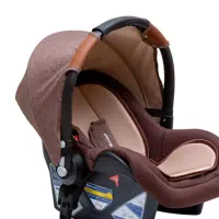 کالسکه کریر دلیجان|کالسکه و لوازم جانبی|تهران, زرکش|دیوار