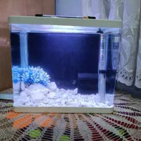 آکواریوم کوچیک شیشه خم