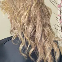 انجام تخصصی خدمات رنگ و لایت