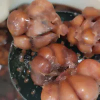 ترشی سیر ۴ساله