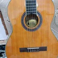 گیتار|گیتار، بیس، امپلیفایر|قشم, |دیوار