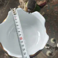 پسته خوری یا شکلات خوری لمونژ لیلی مجنون سرمه ای