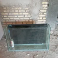 فروش آکواریوم باکلیهوسایلومیزامدیاف