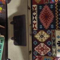 هاردکیس ویولن چمان