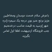 برنج عنبر بو به شرط پخت|خوردنی و آشامیدنی|دهلران, |دیوار