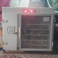 دستگاه جوجه کشی.