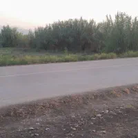 زمین زراعی روستای حاجیکلاته