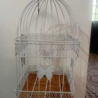 دکوری|مجسمه، تندیس، ماکت|ارومیه, |دیوار