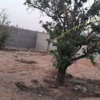 دو-قطعه-زمین-مسکونی-هر-قطعه-150-متر