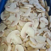 قارچ|خوردنی و آشامیدنی|تهران, شهرک دانشگاه|دیوار