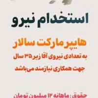 استخدام نیرو کار