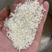 برنج هاشمی محصول خشکبیجار|خوردنی و آشامیدنی|رشت, بوسار|دیوار