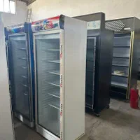 فریزر ایستاده پروتئین وبستنی(تکدر تاشش در)