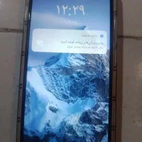 گوشی شیامی