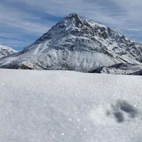 سوئیت.باغ.ویلا.منزل مبله|اجارهٔ کوتاه‌مدت آپارتمان و سوئیت|سی‌سخت, |دیوار