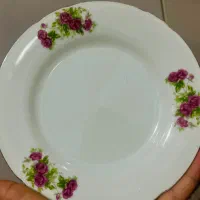 شیرینی خوری گل سرخی