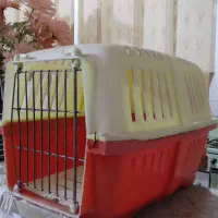 باکس سگ ، باکس خرگوش