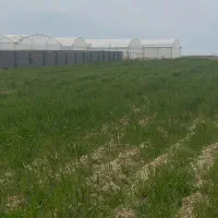 ۴۰۰۰ متر زمین مناسب باغ و گلخانه