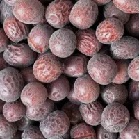 خریدعناب خشک