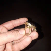 انگشتر قدیمی|کلکسیون اشیاء عتیقه|ملایر, |دیوار