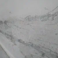 تمیز و مسئولیت پذیری