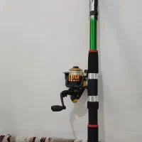 لنسر ماهیگیری