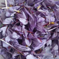 500گرم گل زعفران زیر قیمت