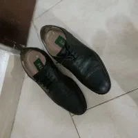 کفش مردانه ،بوت زنانه،اسپرت